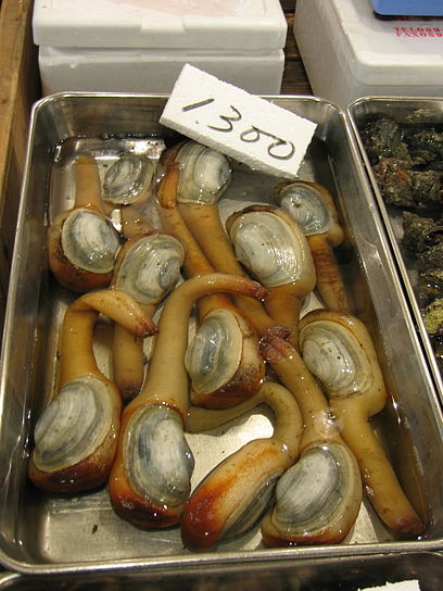 08px-Jrb_20081127_Mirugai_tsukiji_tokyo_japan_001.JPG